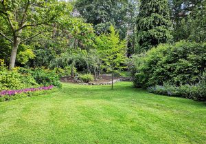 Optimiser l'expérience du jardin à Saint-Paul-de-Vence