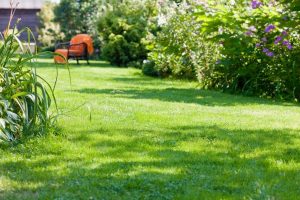 travaux jardin et paysage Saint-Paul-de-Vence